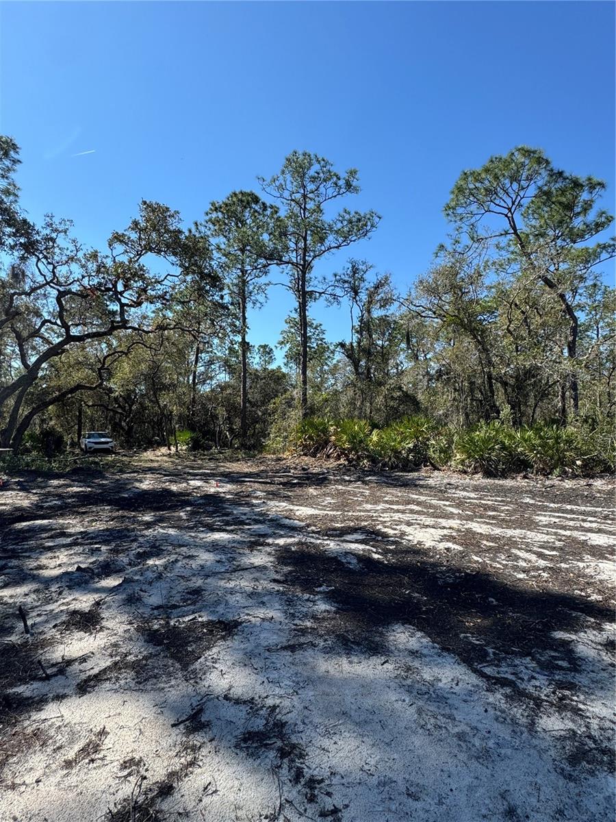 SOUTH SHORE OAKS REP - Land