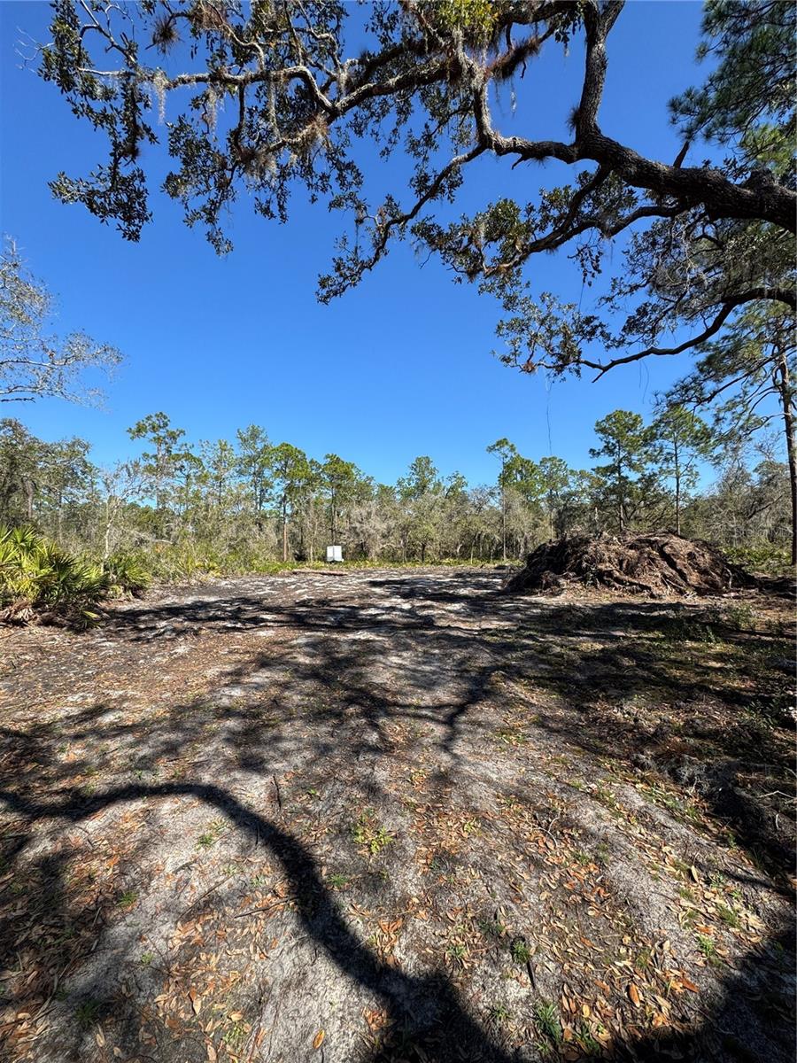 SOUTH SHORE OAKS REP - Land