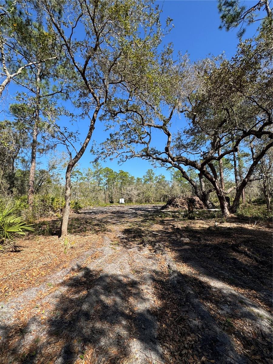 SOUTH SHORE OAKS REP - Land