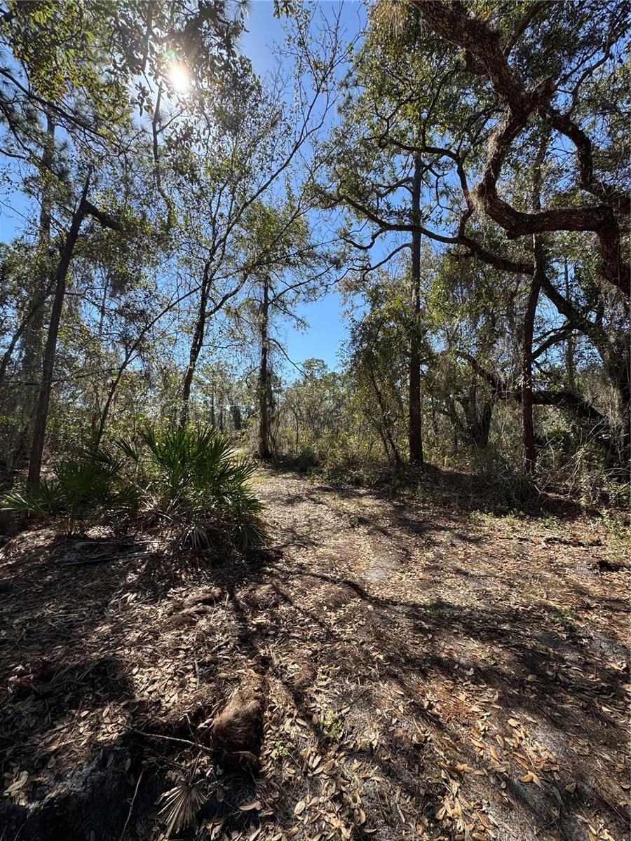 SOUTH SHORE OAKS REP - Land