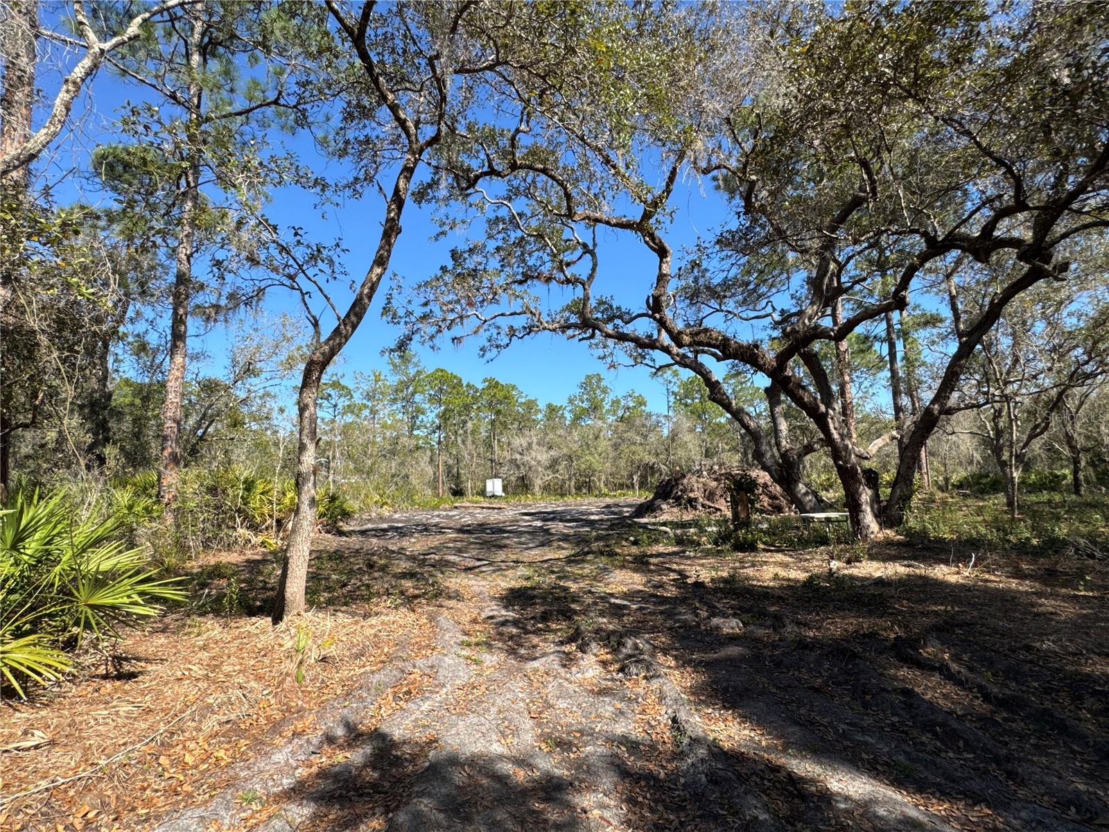 SOUTH SHORE OAKS REP - Land