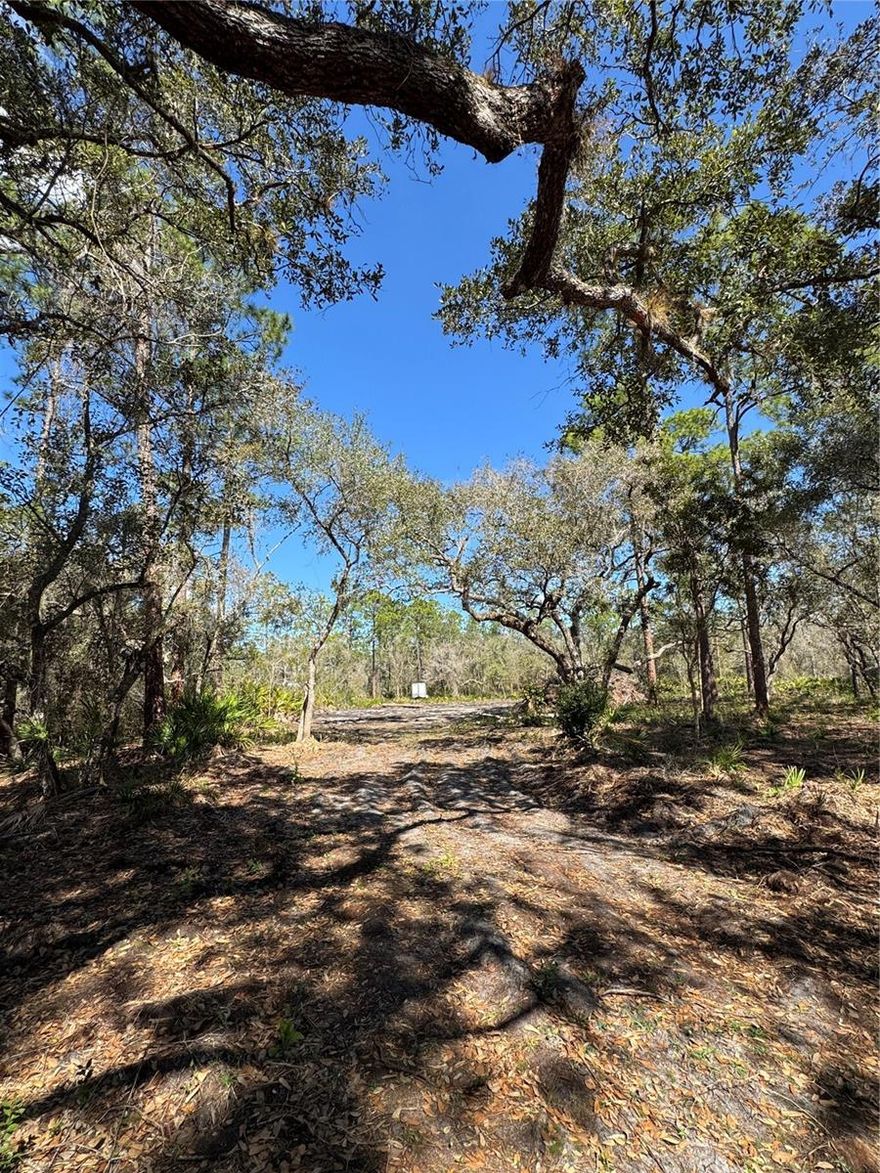 Tucked inside the gated community of South Shore Oaks in Lake Wales, this 2.16-acre homesite offers something increasingly rare, privacy, quiet, and the freedom to build exactly what you envision.Surrounded by mature Florida oaks and towering pines, this property feels like a private nature preserve. The only sounds you’ll hear are birds overhead and wind moving gently through the trees. Deer and quail make regular appearances, adding to the peaceful, Old Florida setting that makes this community so special.South Shore Oaks is an intimate neighborhood with just two roads, creating a secluded atmosphere while still offering access to Lake Rosalie. With a low HOA of only $325 per year, you’ll enjoy the benefits of a well-maintained gated community without high fees.The lot is partially cleared, giving you a head start on building your custom dream home while still preserving the natural beauty and shade of the existing trees. No manufactured homes are permitted, ensuring a community of quality-built residences. Chickens and horses are allowed, so whether you’ve dreamed of gathering fresh eggs each morning or creating a small equestrian setup, you have the flexibility to design a lifestyle that fits.Despite the peaceful setting, you’re just minutes from SR 60 and Highway 27, with convenient access to shopping, dining, medical facilities, and the hospital in Lake Wales. Downtown Lake Wales offers charming boutiques, local restaurants, coffee shops, and year-round events. The area is also home to the iconic Bok Tower Gardens, one of Central Florida’s most treasured landmarks.If you’ve been searching for acreage, privacy, and the opportunity to build a truly custom home in a quiet, established community, this homesite is ready for your vision.