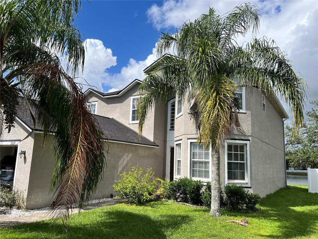 Photo of 31029 Baclan Drive, Wesley Chapel, FL 33545 (MLS # TB8435187)