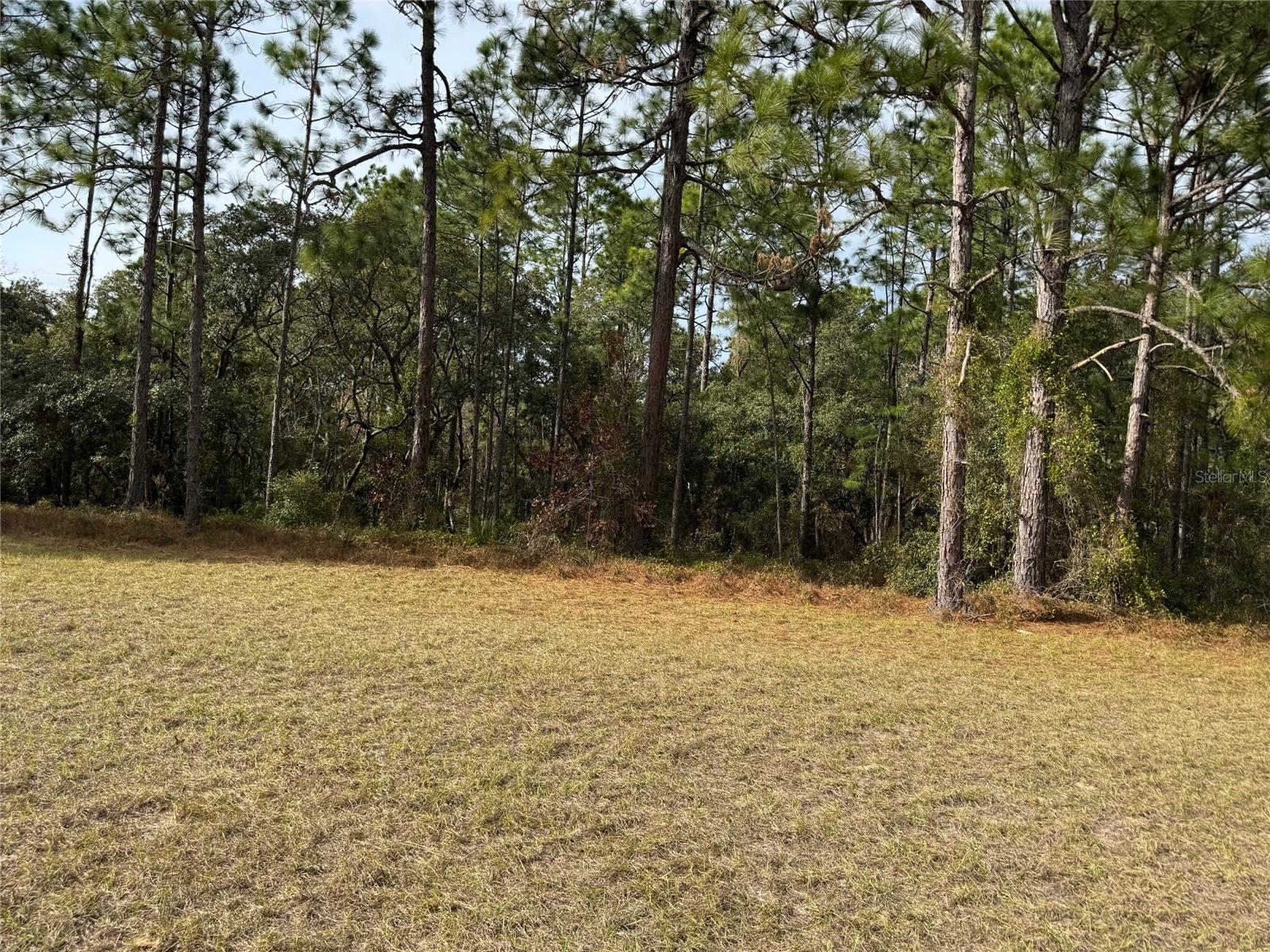 Lot 9 SW 61ST AVENUE ROAD