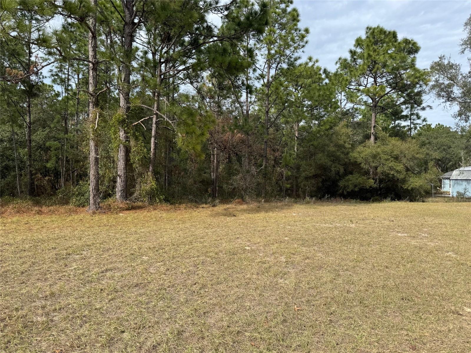 Lot 9 SW 61ST AVENUE ROAD