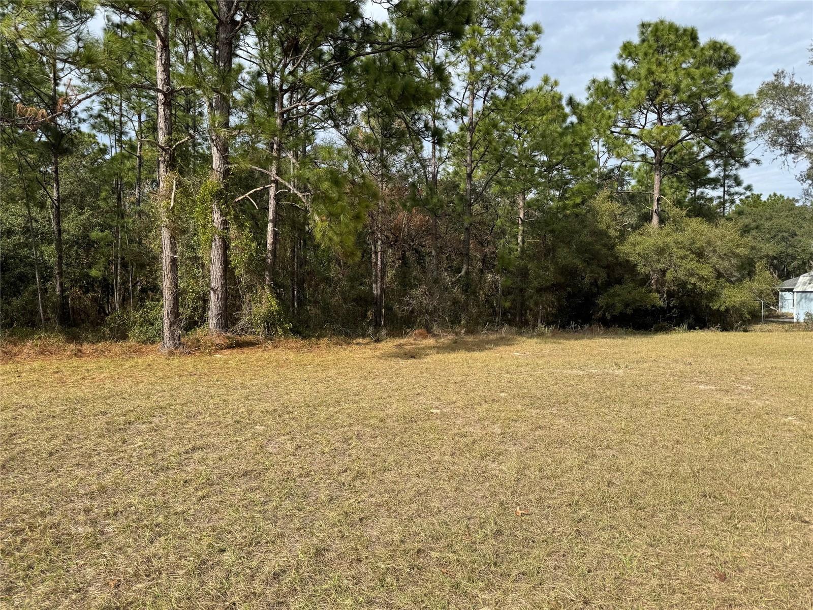Lot 9 SW 61ST AVENUE ROAD