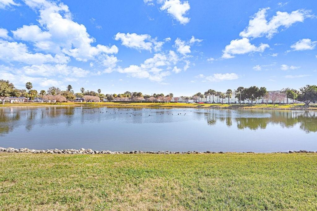 WATERSIDE AT COQUINA KEY SOUTH - Residential