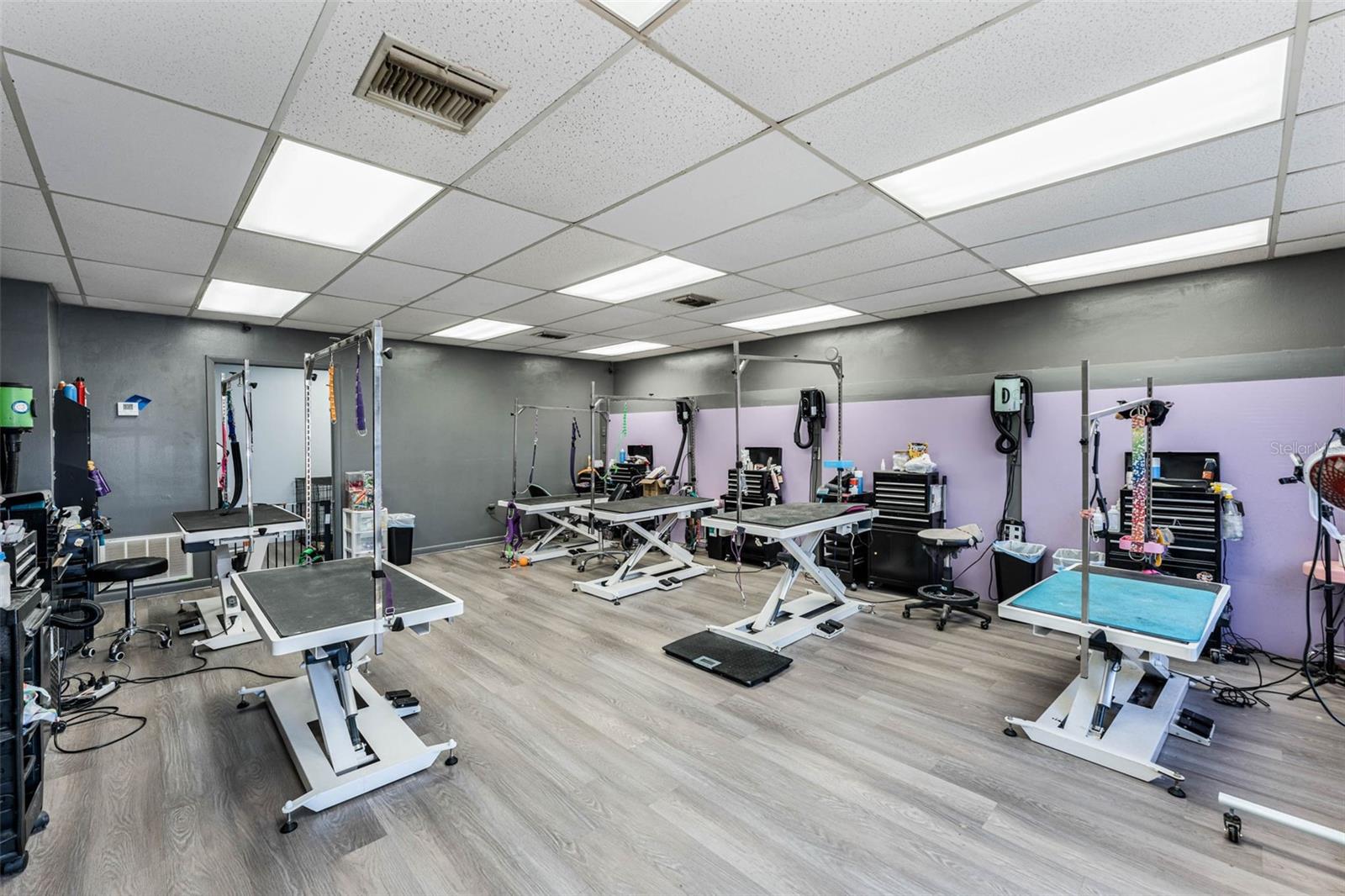 FRIES WINTER GARDEN - Commercial Sale