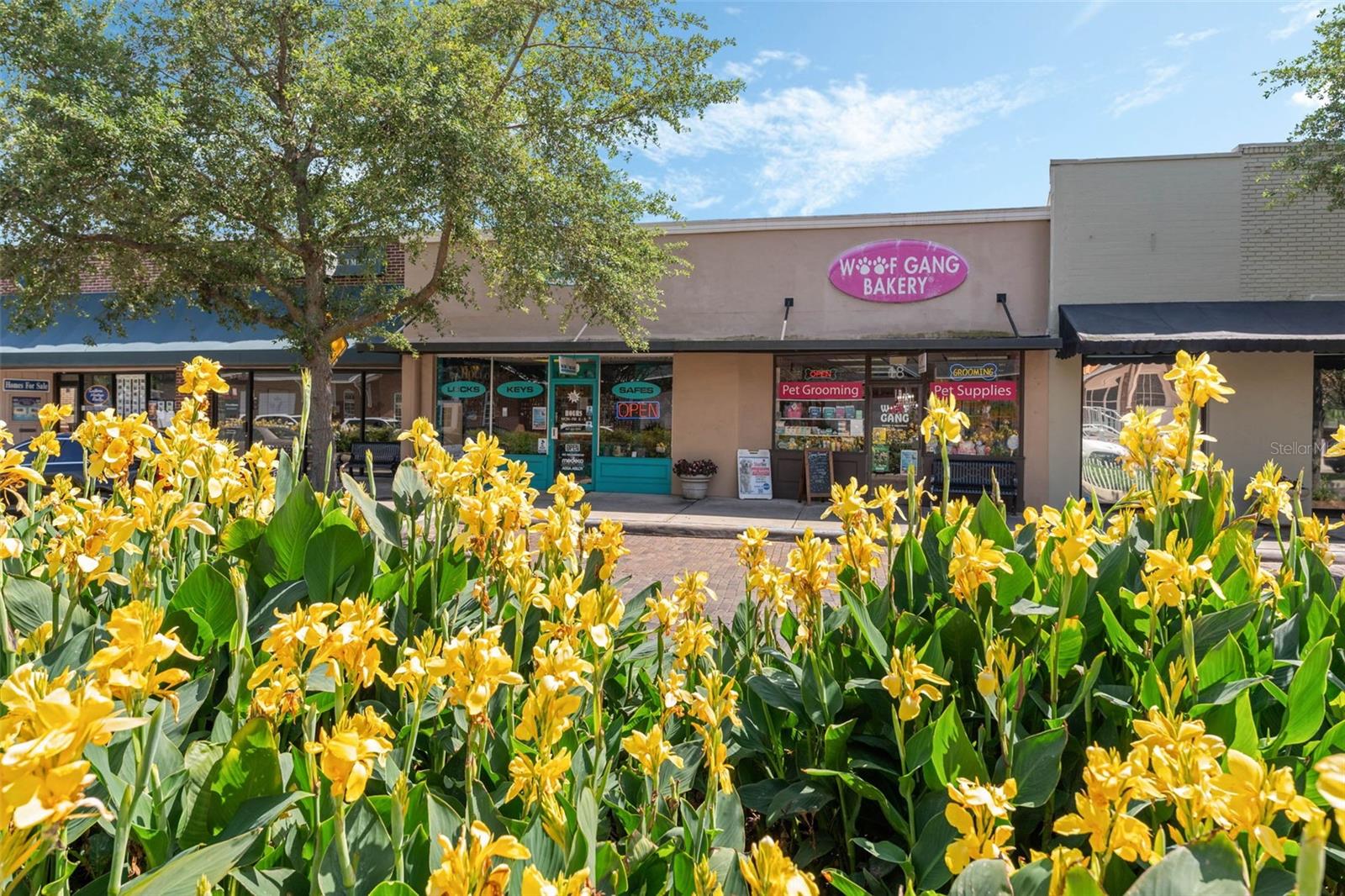 COMMERCIAL property in downtown WINTER GARDEN! Located directly on PLANT STREET in the Historic District Overlay this property offers great exposure. It is currently zoned C-1 and has many permitted uses such as retail establishments, eating and drinking establishments, office & studios, financial institutions, private club, personal service, church and more. Permitted use list available upon request. Total property consist of over 3300 square feet and almost 2700 square feet of interior space. Property is split up unit two units. The first unit is approximately 1050 interior space offering a main retail area measuring 25x22, an office 9x14 and additional room 18x8. There is additional walkway space and two restrooms. The second unit is approximately 2050 interior space offering a 31x14 retail space, and additional spaces measuring 6x14, 8x12,10x17,18x24 and 7x15. There is additional walkway space and one restroom plus rear entrance/exit ability. ENJOY the downtown Winter Garden life.