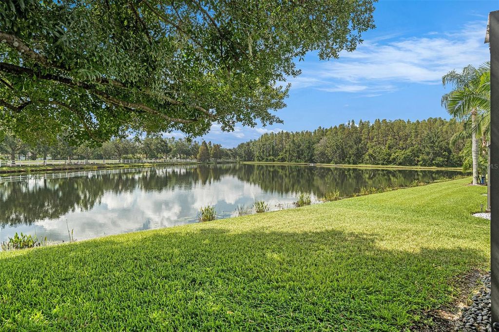 Photo of 31502 Chatterly Drive, Wesley Chapel, FL 33543 (MLS # TB8407511)