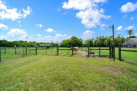 Tiny photo for 13456 W Highway 318, Williston, FL 32696 (MLS # OM722269)