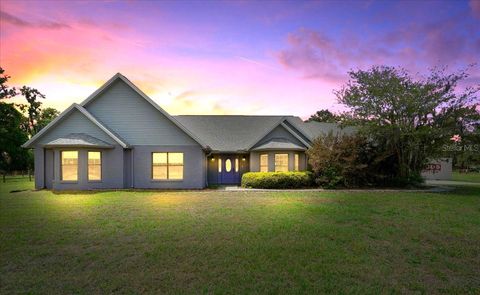 Photo of 13456 W Highway 318, Williston, FL 32696 (MLS # OM722269)