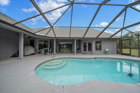 Tiny photo for 13456 W Highway 318, Williston, FL 32696 (MLS # OM722269)
