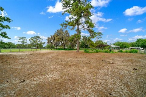 Tiny photo for 13456 W Highway 318, Williston, FL 32696 (MLS # OM722269)