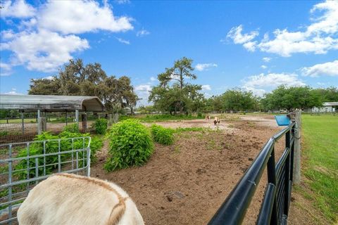 Tiny photo for 13456 W Highway 318, Williston, FL 32696 (MLS # OM722269)