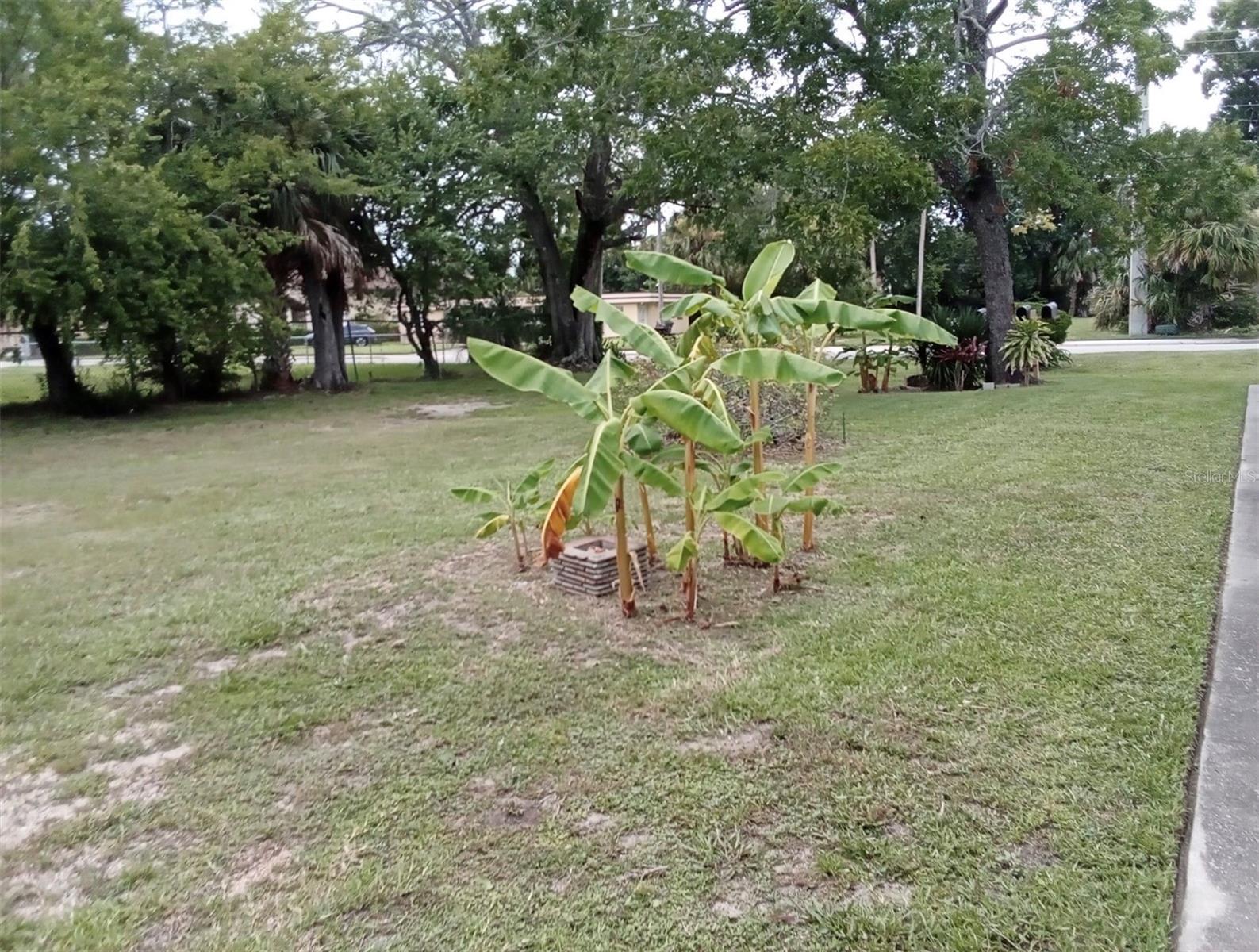 ASSESSORS BLK 04 GREENS - Residential Income