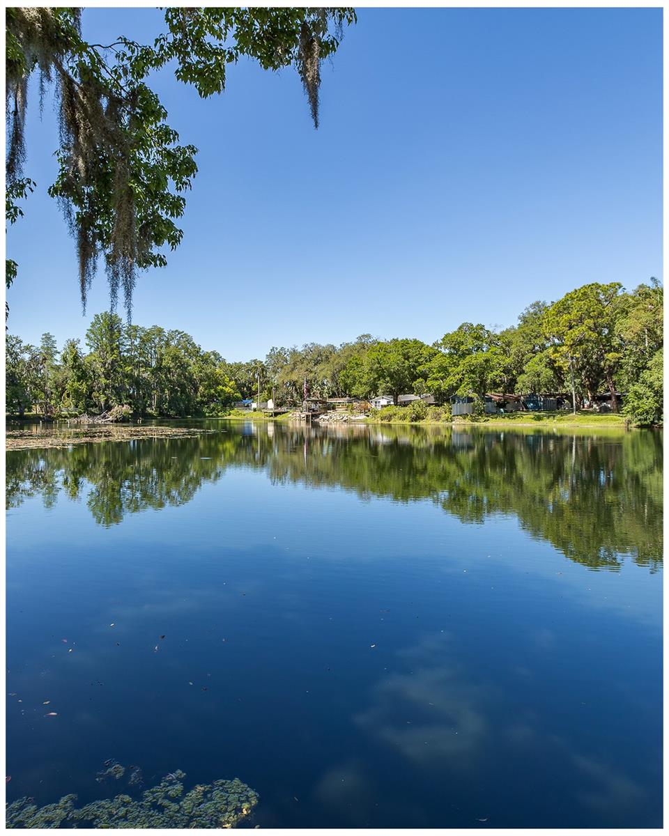 PORT RICHEY LAND CO - Residential