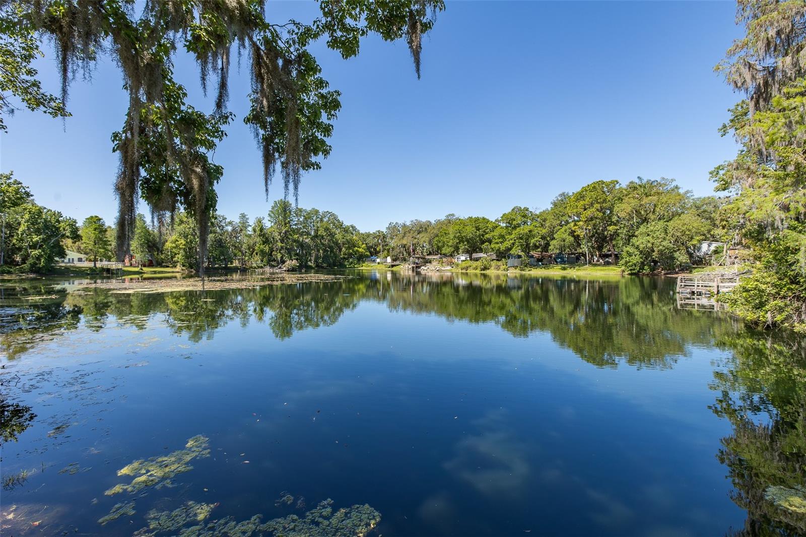 PORT RICHEY LAND CO - Residential