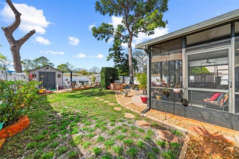 A home in SAFETY HARBOR