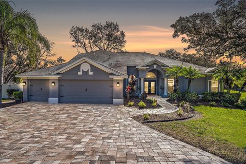 10129 PADDOCK OAKS DRIVE RIVERVIEW FL 33569