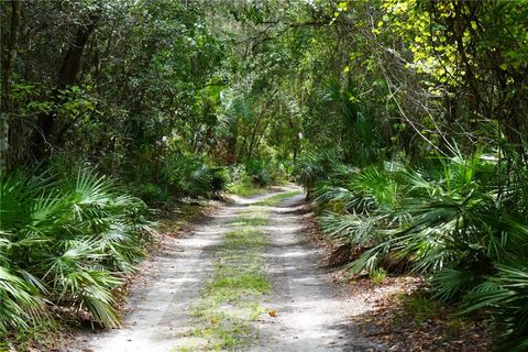 Photo of 2288 Enterprise Osteen Road, Deltona, FL 32738 (MLS # O6369388)