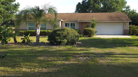 Photo of 5205 Horton Road, Plant City, FL 33567 (MLS # R4911117)