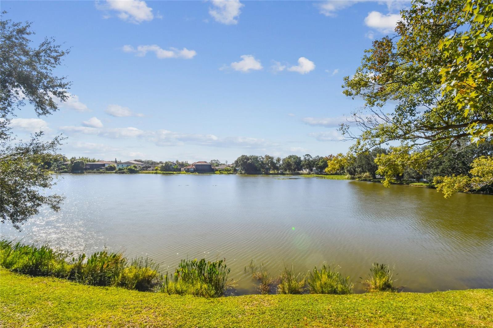 LAKE PLACE A CONDO - Residential