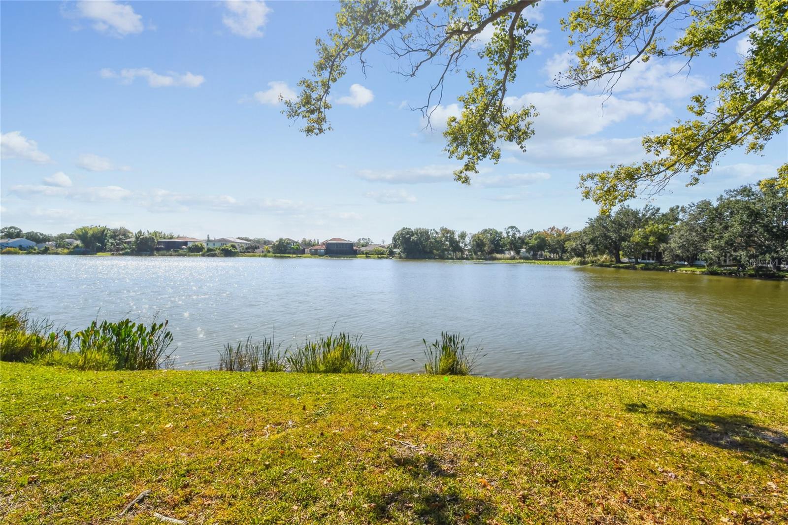 LAKE PLACE A CONDO - Residential