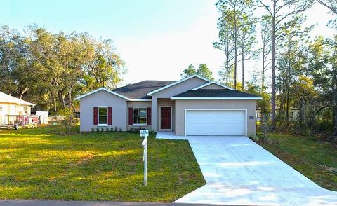 Photo of 8827 N Mendoza Way, Citrus Springs, FL 34434 (MLS # O6339292)