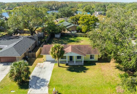 A home in LAND O LAKES