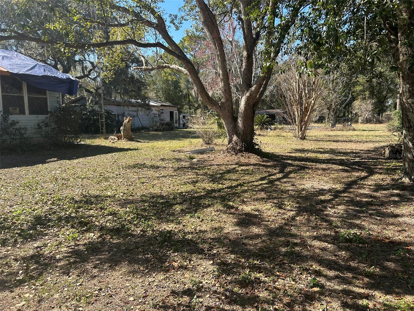 BIG TREE CAMPSITES SEC D - Residential