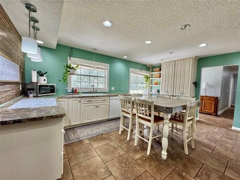 Tiny photo for 7625 E Misty Lane, Inverness, FL 34450 (MLS # TB8459222)