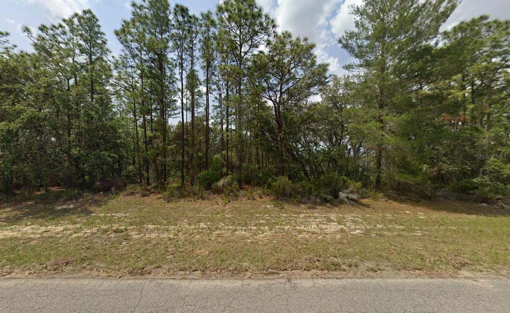 Photo of 150th Lane, Ocala, FL 34473 (MLS # K4903737)