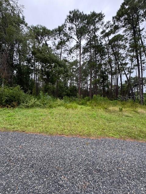 DAYTONA PARK ESTATES SEC C - Land