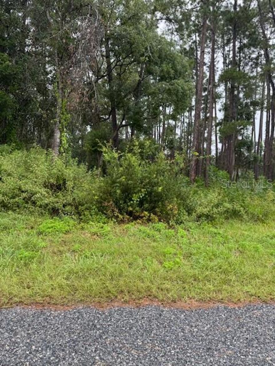 .26 acre lot in the highly desirable Daytona Park Estates. Bring your own builder! Neighboring lot also for sale! Have a double lot or build 2 homes neighboring!