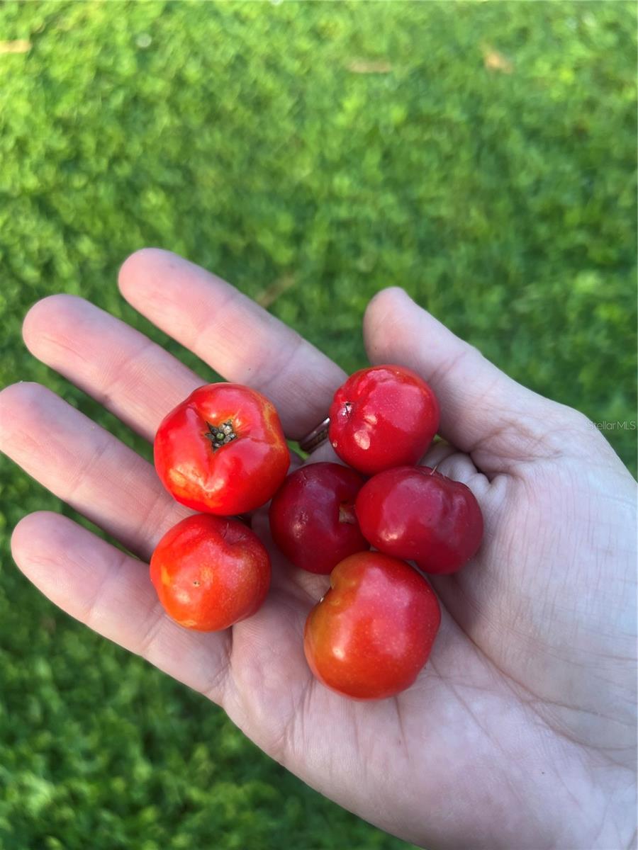 988 ELKCAM BOULEVARD