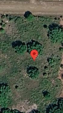 Photo of 15030 NW 306th Street, Okeechobee, FL 34972 (MLS # TB8546536)