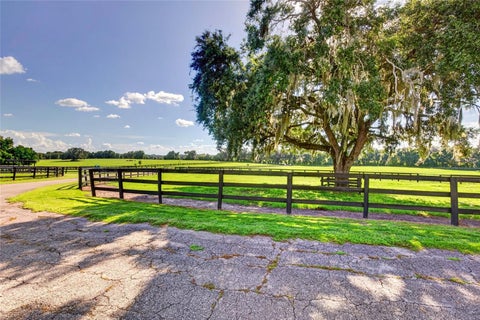 Tiny photo for 15939 NW 162nd Terrace, Williston, FL 32696 (MLS # OM731753)