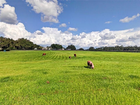 Tiny photo for 15939 NW 162nd Terrace, Williston, FL 32696 (MLS # OM731753)