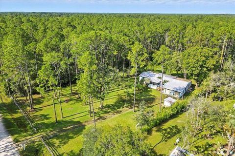 Photo of 1056 Peach Street, Bunnell, FL 32110 (MLS # FC312944)