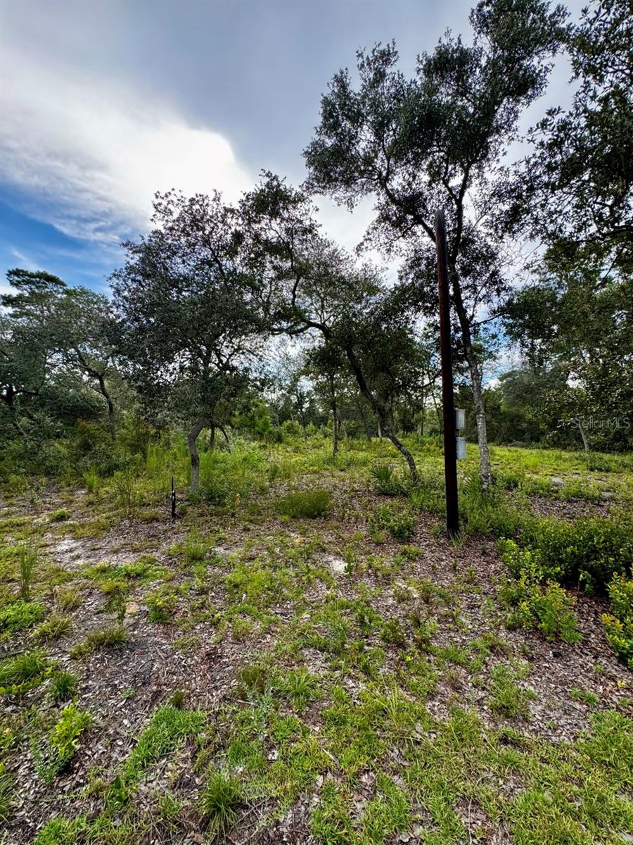 OCALA NATIONAL FOREST CAMPSITES - Residential