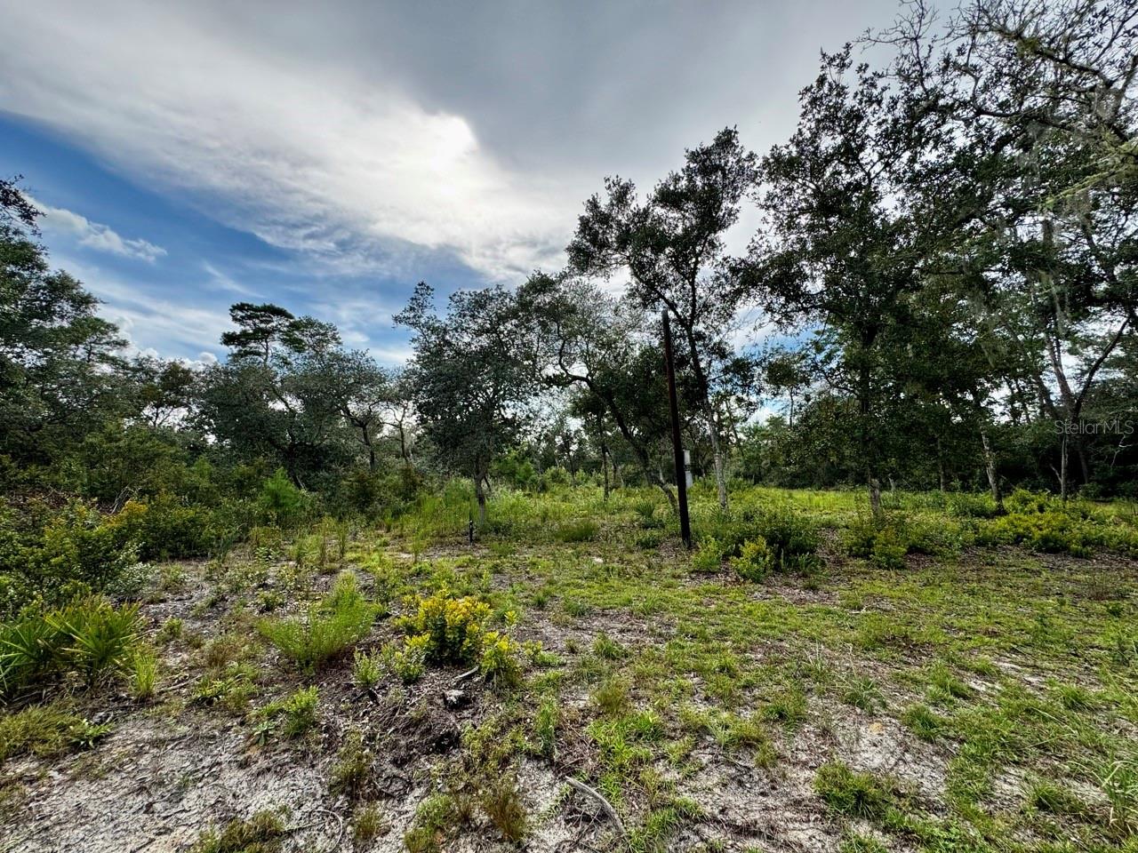 OCALA NATIONAL FOREST CAMPSITES - Residential