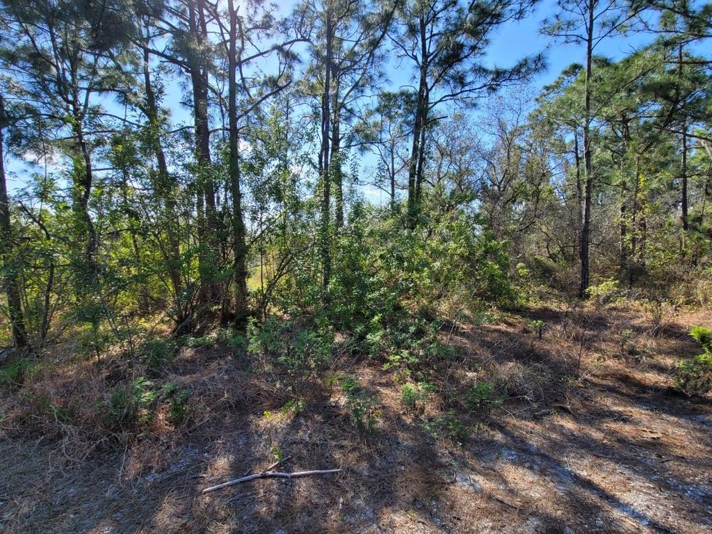 Photo of 317 Tannery Lane, Lake Placid, FL 33852 (MLS # O6286009)
