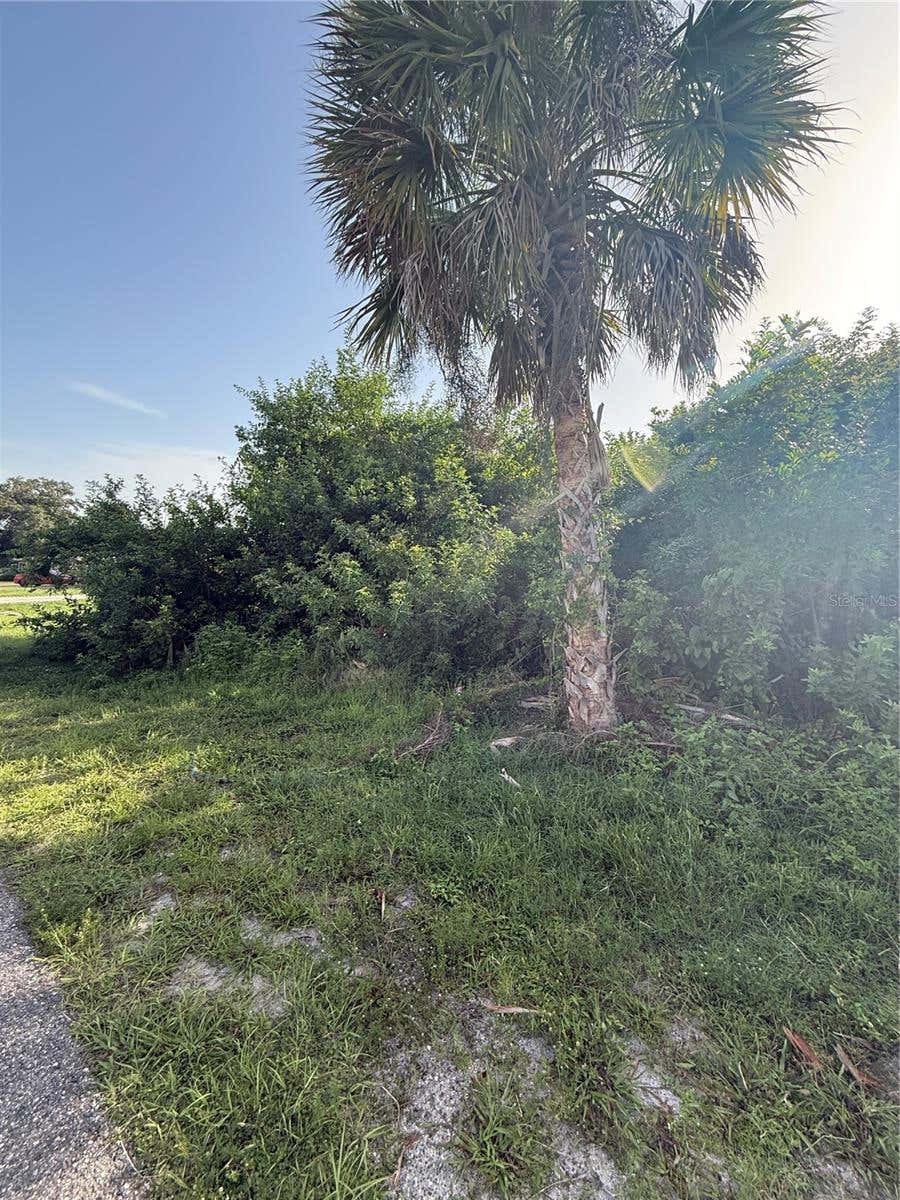 Photo of 2071 Carpetgreen Street, Port Charlotte, FL 33948 (MLS # C7528401)