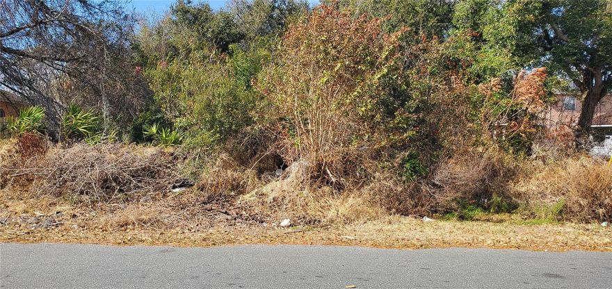 Don't miss this chance to invest in a prime piece of real estate in Poinciana! This vacant lot offers immense potential for a future home or investment property in a rapidly developing area. Enjoy the best of both worlds: a quiet, suburban setting surrounded by natural beauty, with Central Florida's major attractions like Walt Disney World, Universal Studios, and SeaWorld just a short drive away. Conveniently located near the Poinciana Medical Center, shopping, and dining options, this lot provides a perfect blend of tranquility and accessibility. Call and see today!