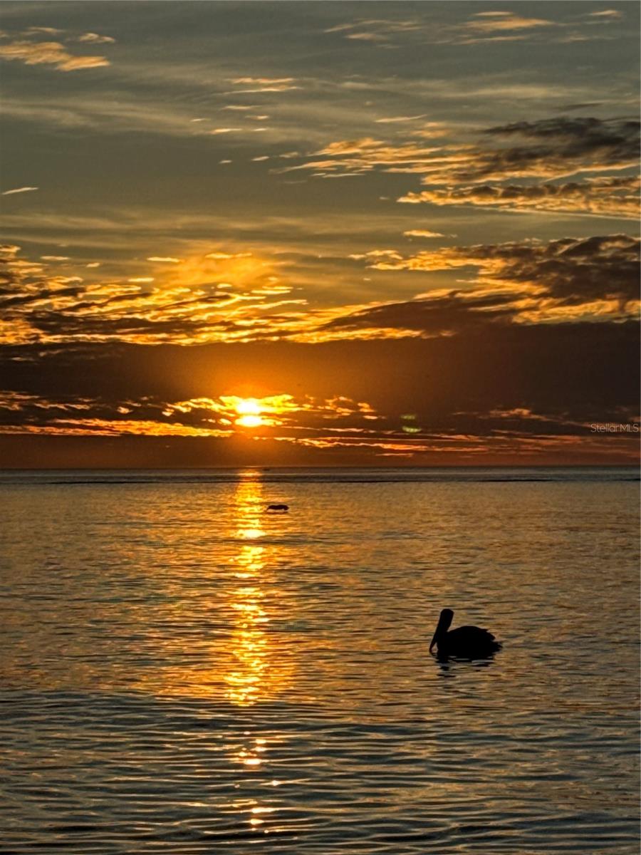 CASA SEVILLE - Residential