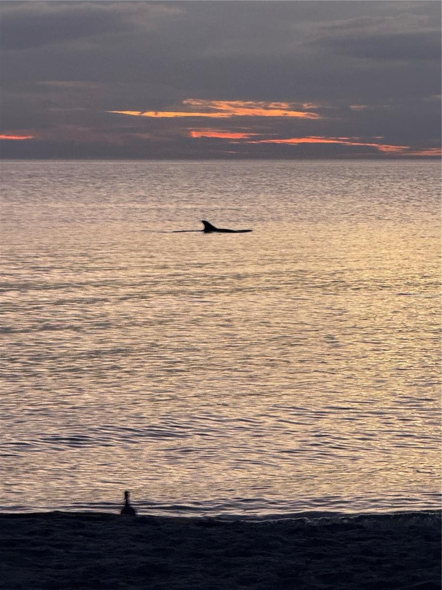 CASA SEVILLE - Residential