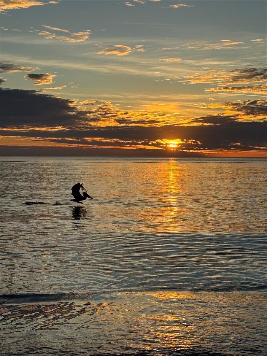 CASA SEVILLE - Residential