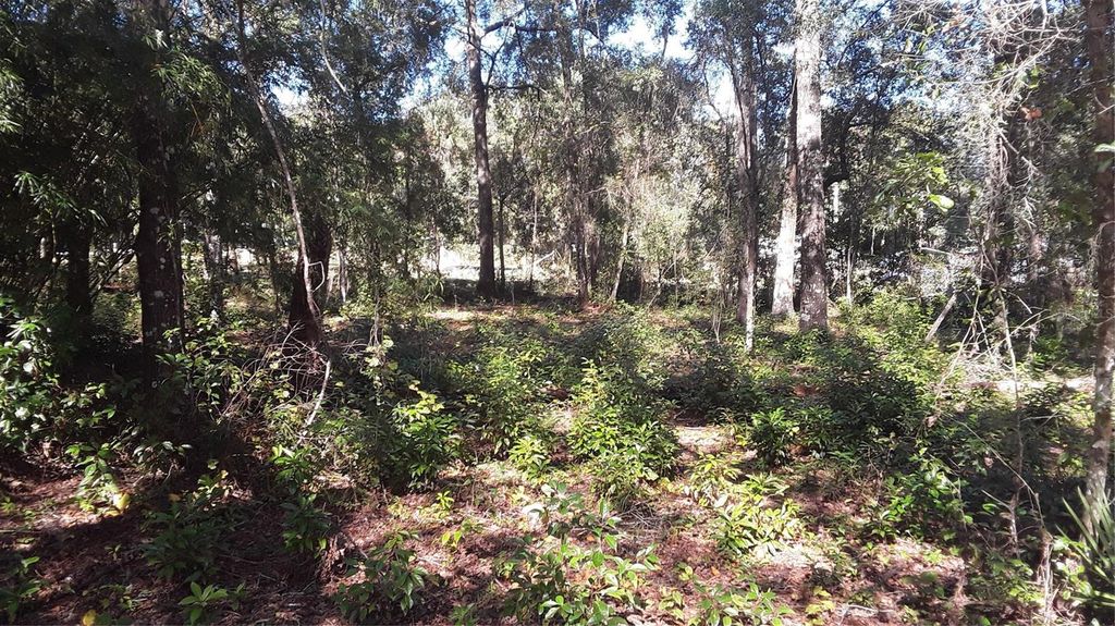 Photo of 8514 N Erin Drive, Crystal River, FL 34428 (MLS # OM654979)