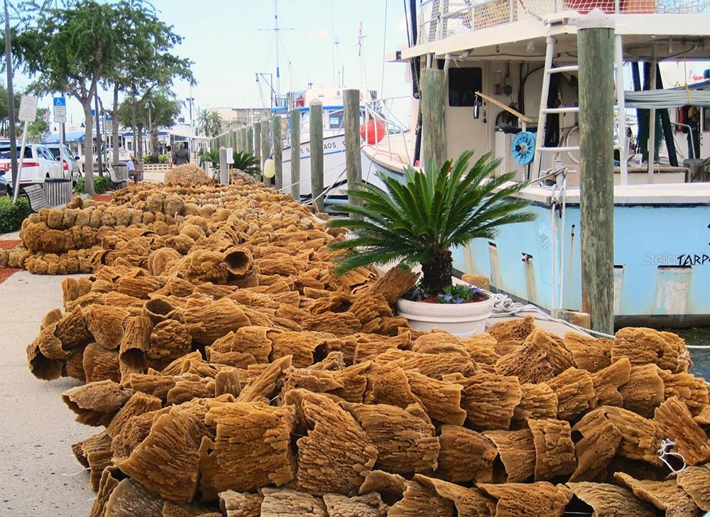 EAGLE CREEK - Residential